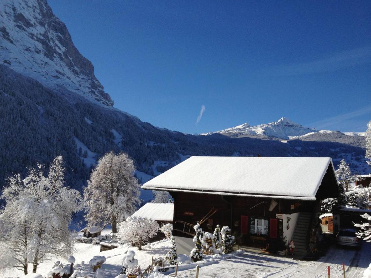 Apartment Chalet Baergsunna-2 By Interhome Grindelwald Buitenkant foto