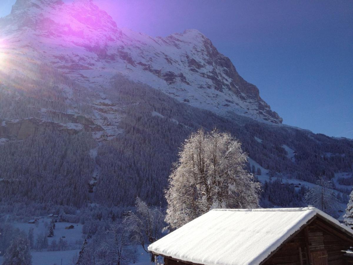 Apartment Chalet Baergsunna-2 By Interhome Grindelwald Buitenkant foto